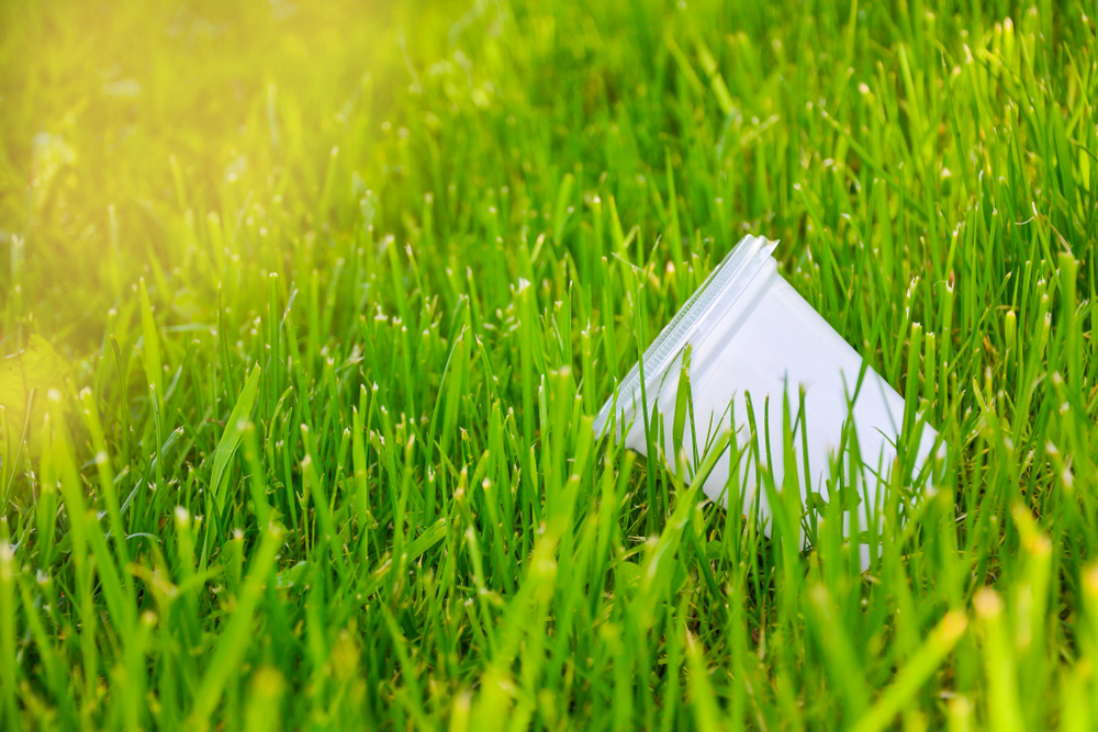 Why Choose Native Plants over Plastic Lawns
