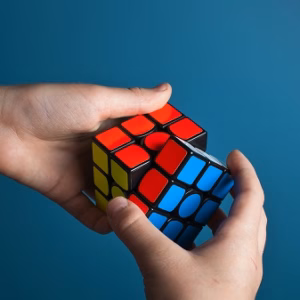 Children Learn to Solve Problems